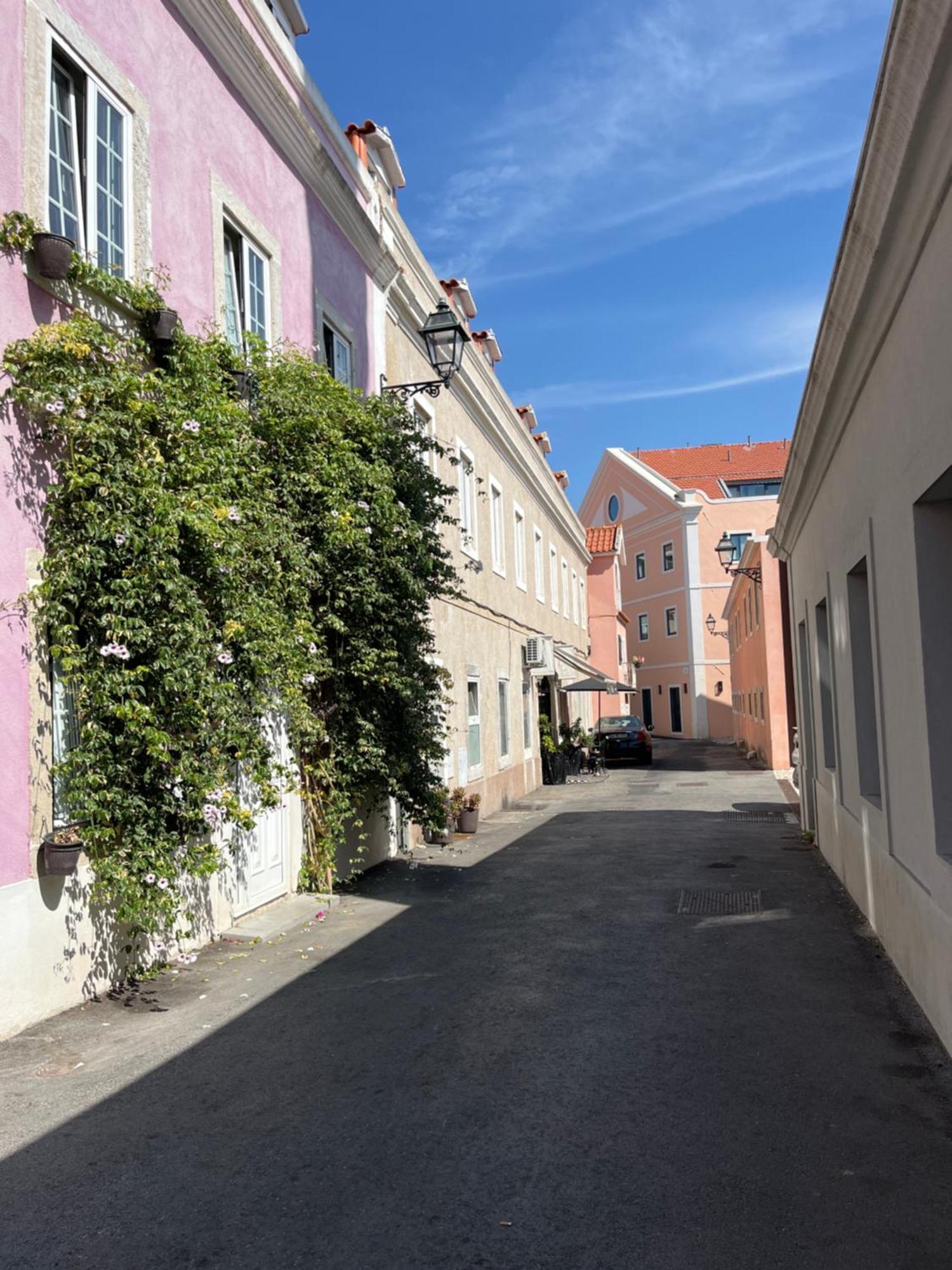 Casa Cor De Rosa Daire Lisboa Dış mekan fotoğraf