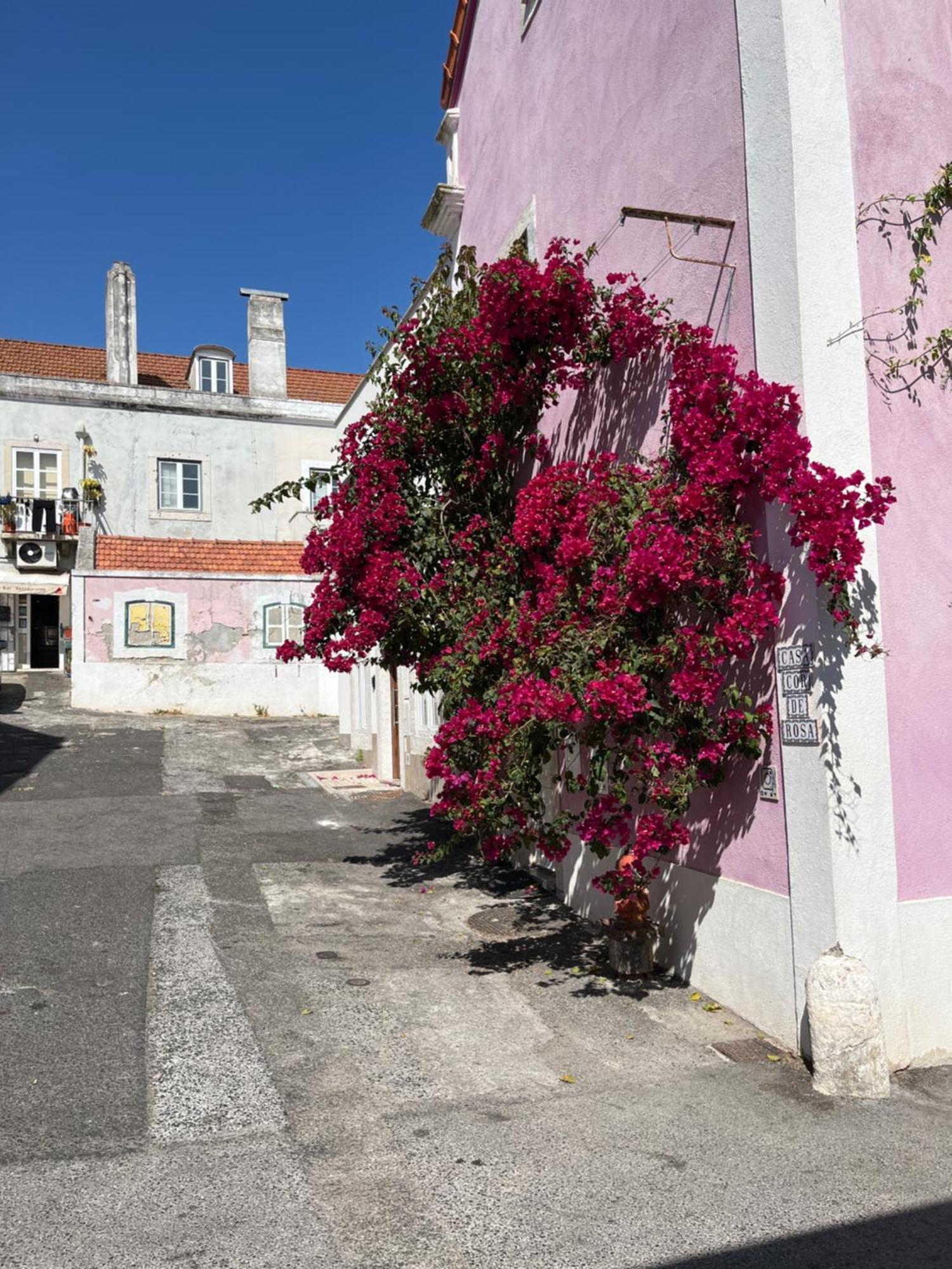 Casa Cor De Rosa Daire Lisboa Dış mekan fotoğraf